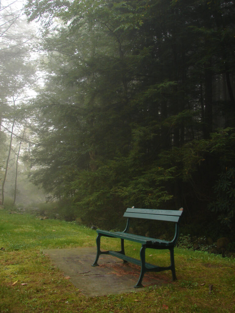 A bench in the fog.